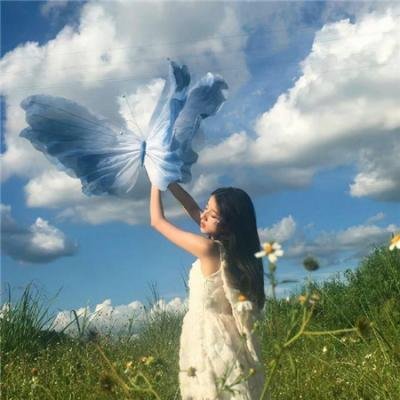 科搜研之女第23季